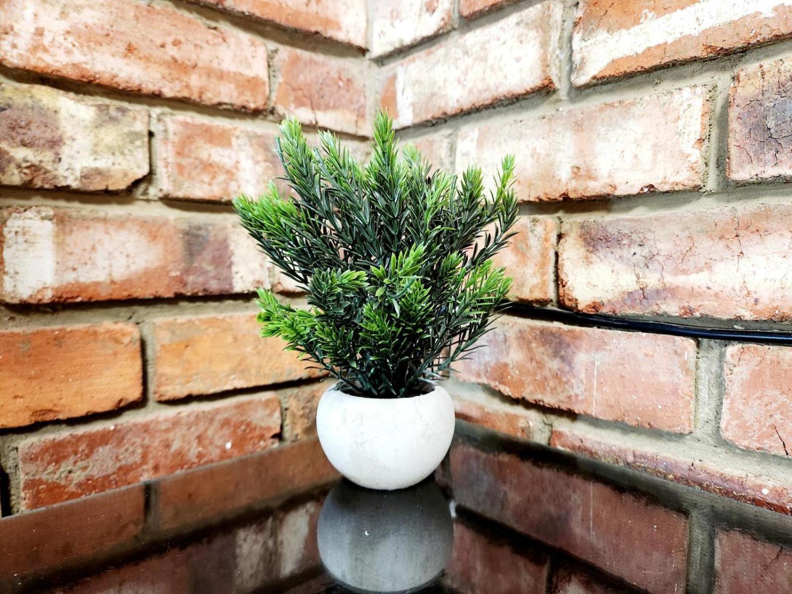 Aloe Guesthouse Klerksdorp Quarto foto